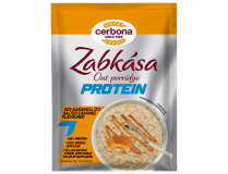 protein oat porridge