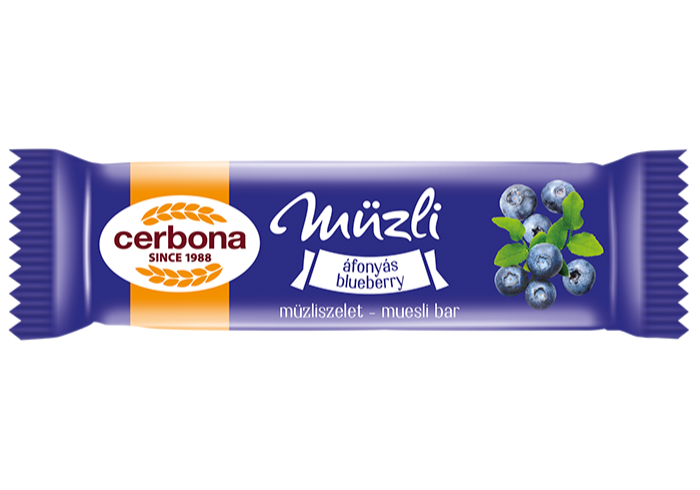 Blueberry muesli bar