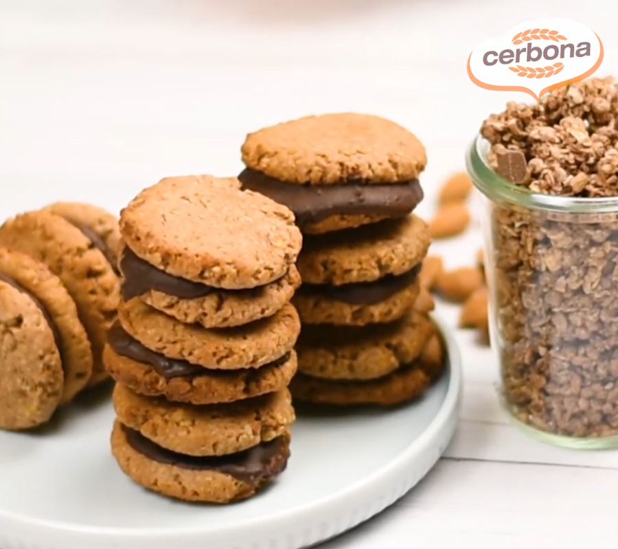 Roppanós müzlikorong